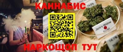 эйфоретик Дубна